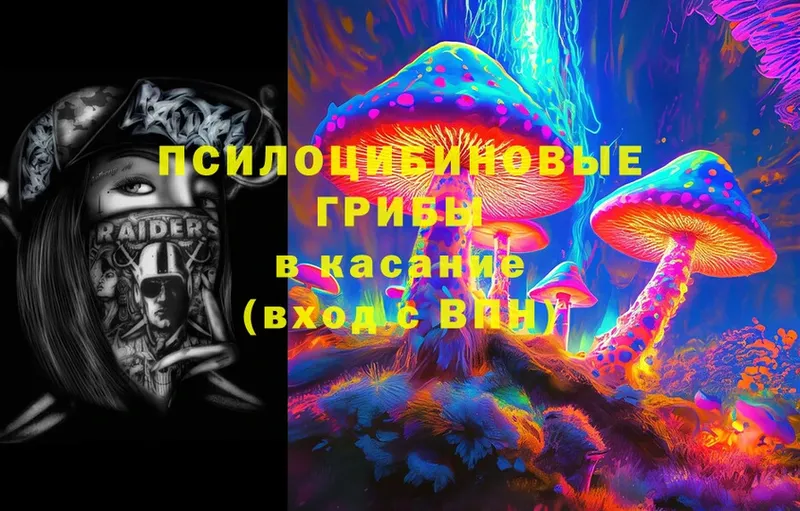 Псилоцибиновые грибы Psilocybine cubensis  наркотики  площадка официальный сайт  Будённовск 